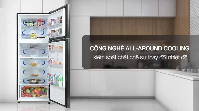Tủ lạnh Samsung Inverter 460 lít RT46K603JB1/SV